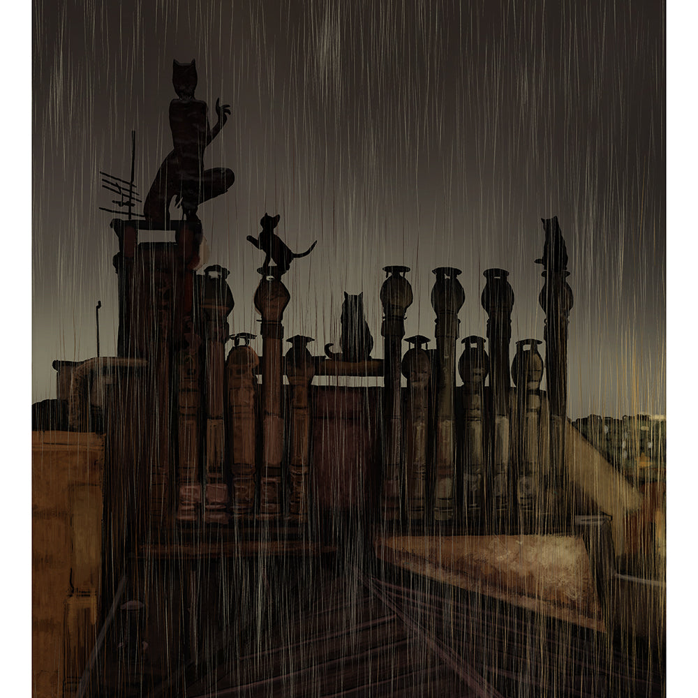Mark Chilcott "Catwoman"