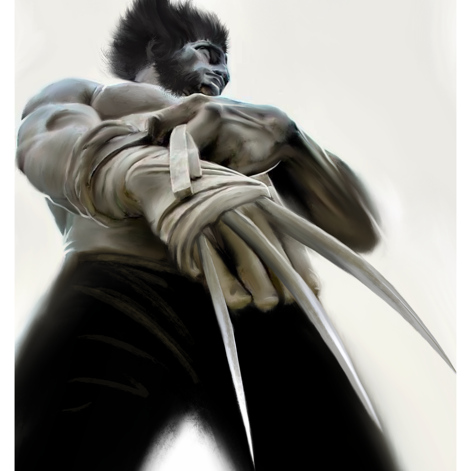 Mark Chilcott "Wolverine"