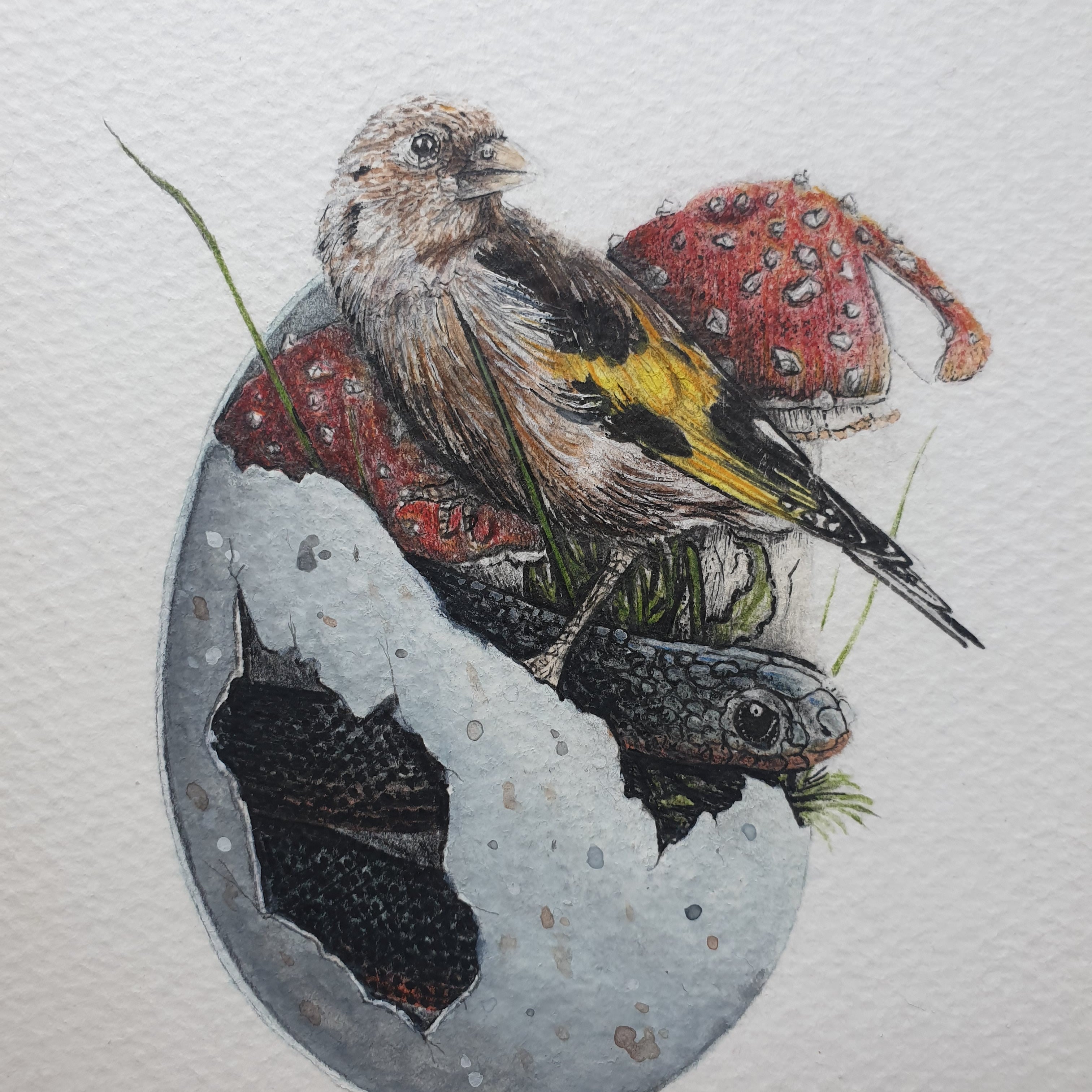 Joshua Smith "Hatchlet"
