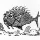 David Welker "Lonious Fish" Letterpress Variant