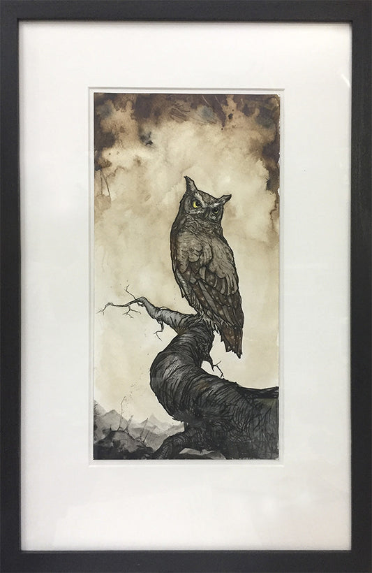 Brian Mashburn "Great Horned Owl Study"