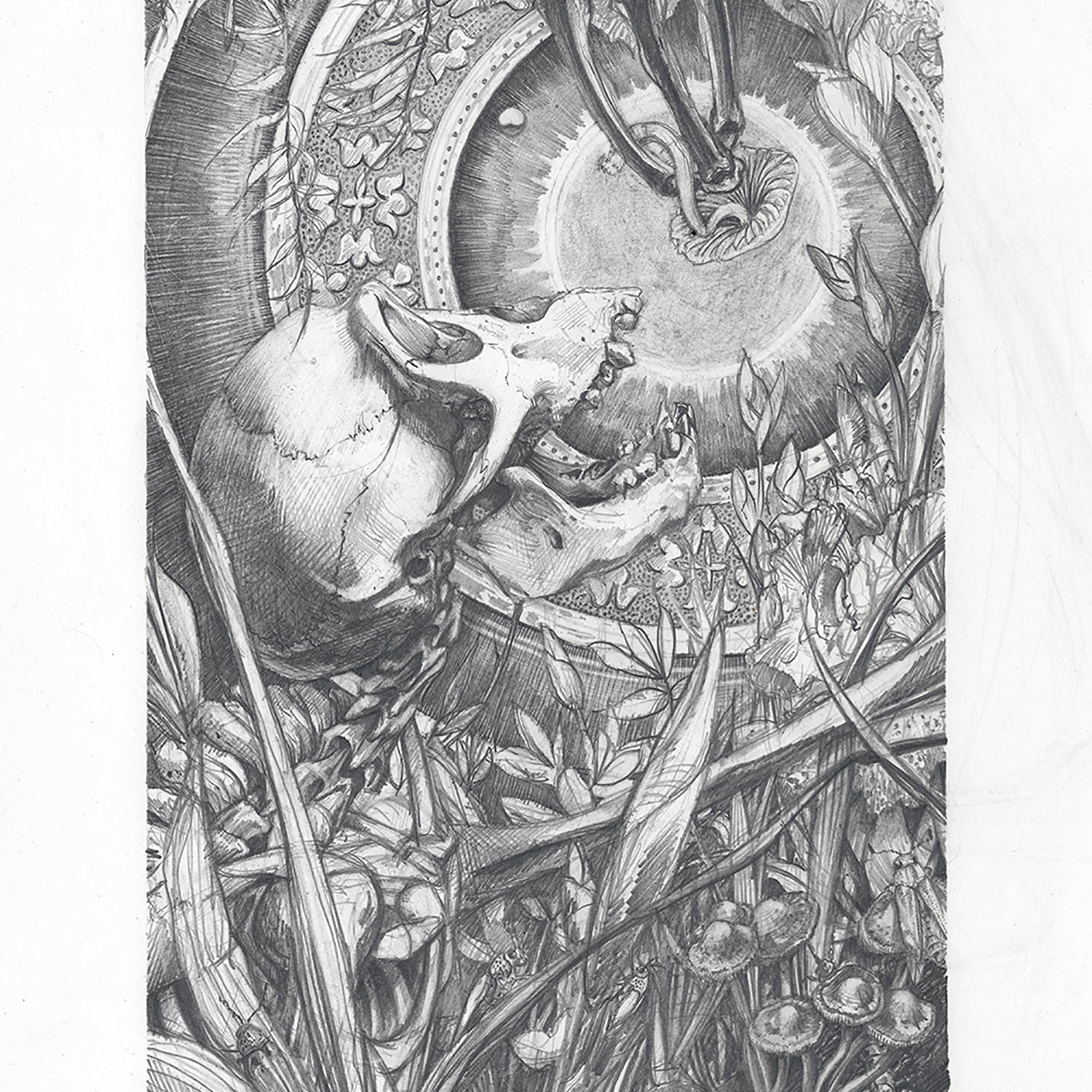 AJ Masthay "Origins" Graphite OG