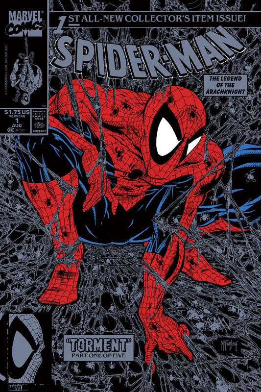 Todd McFarlane "Spider-Man #1" Silver Variant