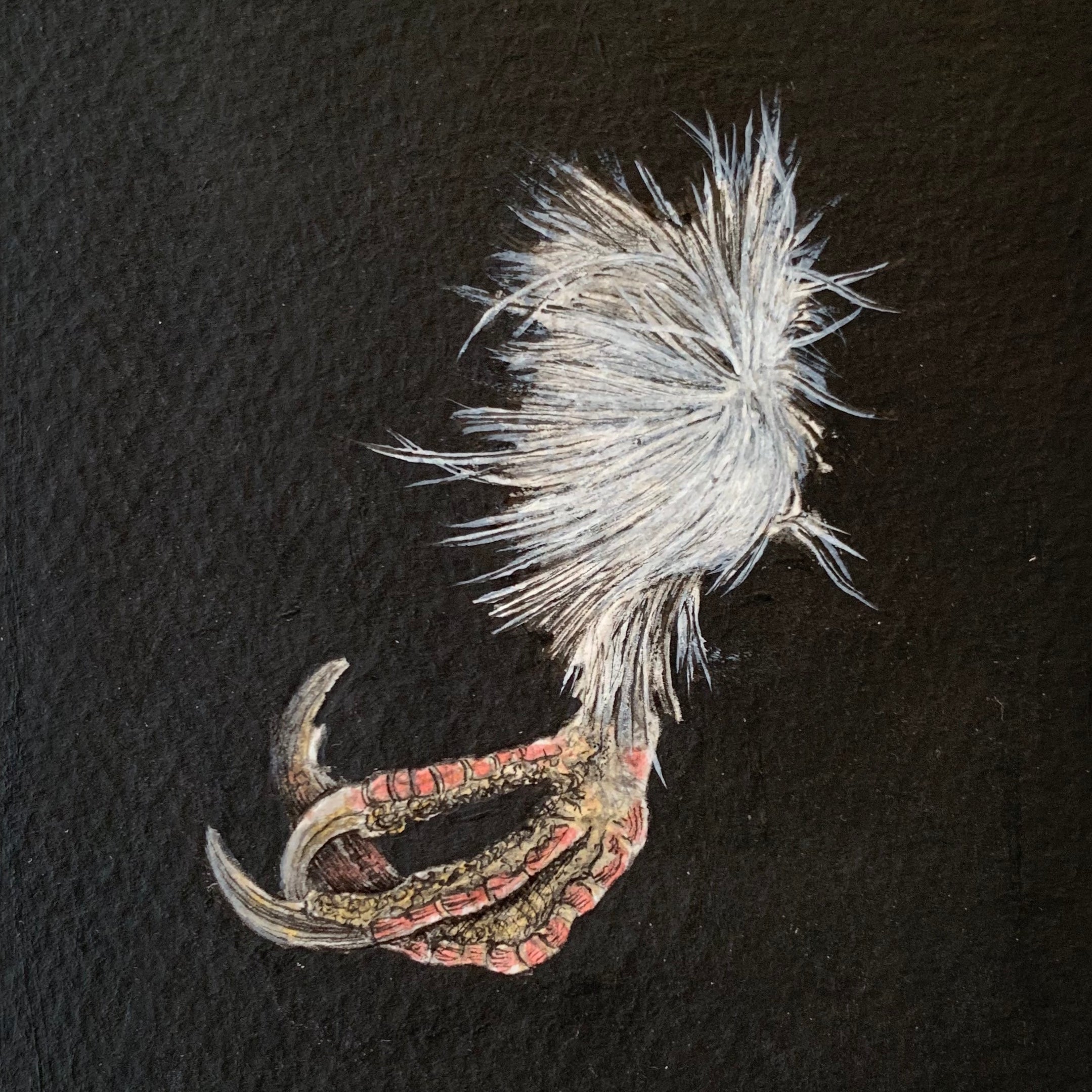 Joshua Smith "Talon"