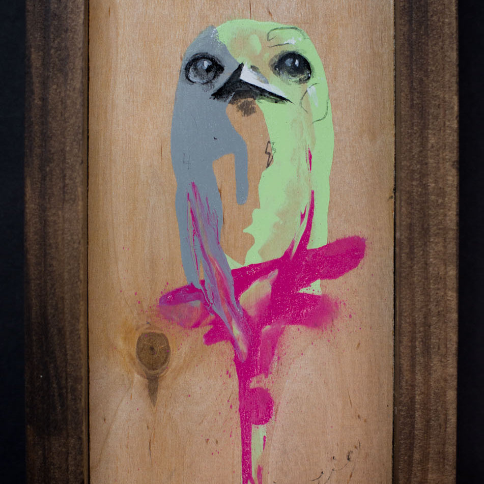 The LIE "Bird #1"