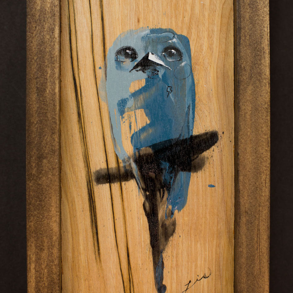 The LIE "Bird #5"