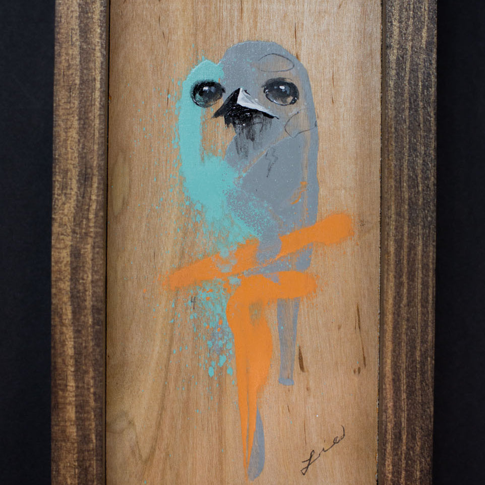 The LIE "Bird #7"