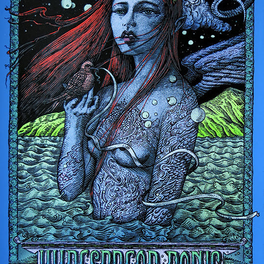 David Welker "Widespread Panic - Jones beach"