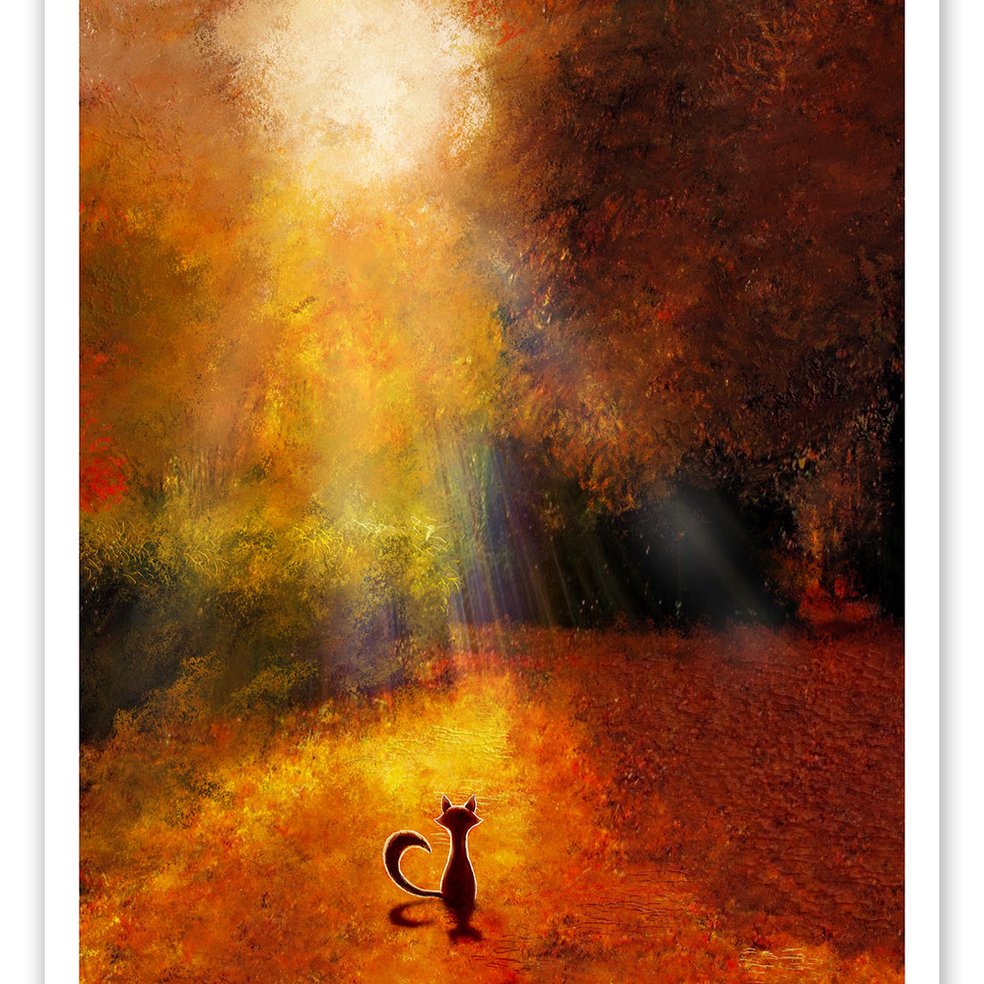Mark Chilcott "Webster Fox Series - Part VI" SET