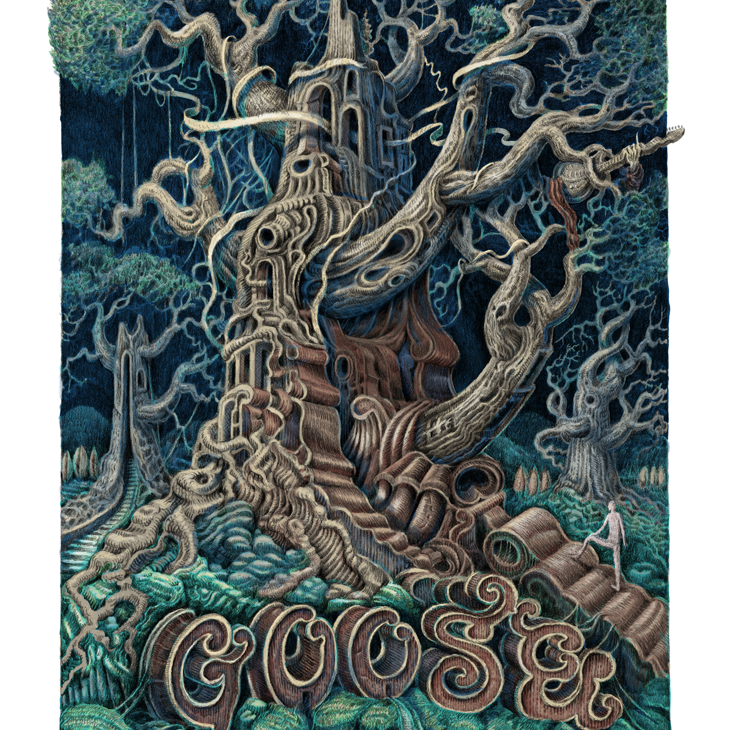 David Welker "Goose - Broomfield, CO" Show Edition