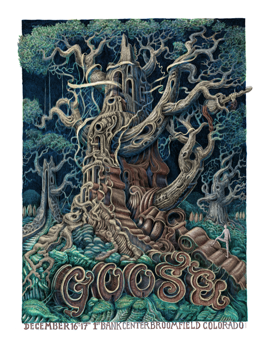 David Welker "Goose - Broomfield, CO" Show Edition