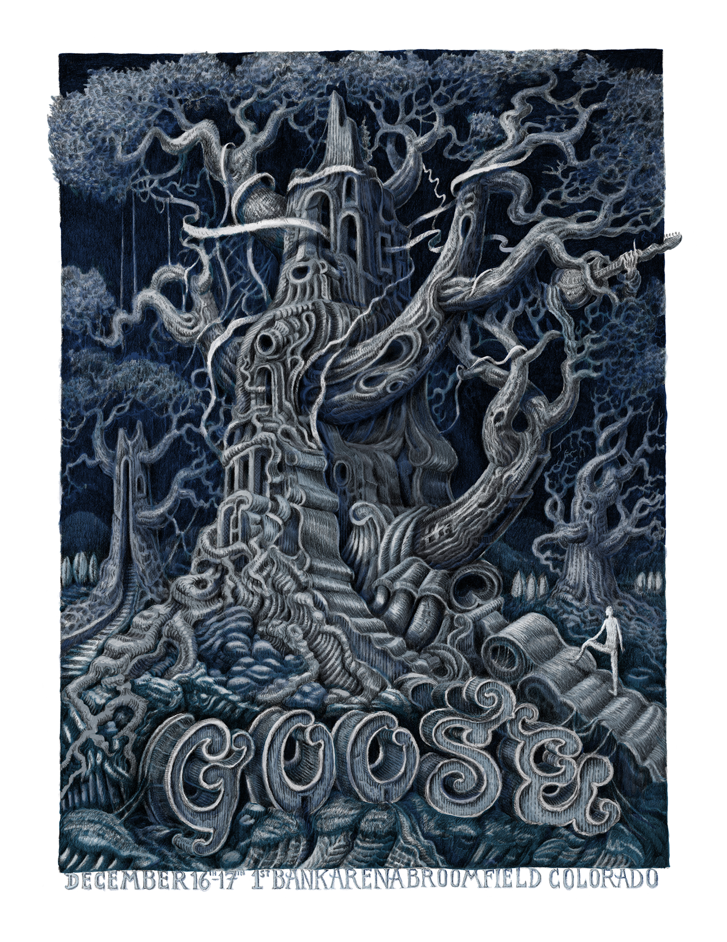 David Welker "Goose - Broomfield, CO" Winter Edition