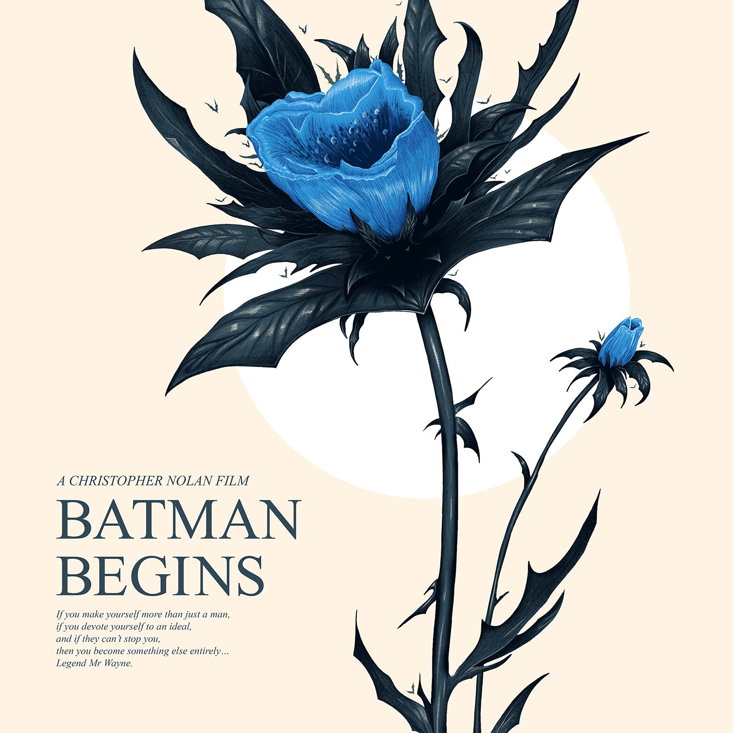 Doaly "Batman Begins"