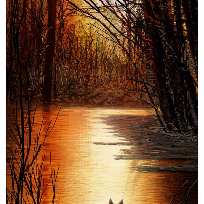 Mark Chilcott "Webster Fox #19"