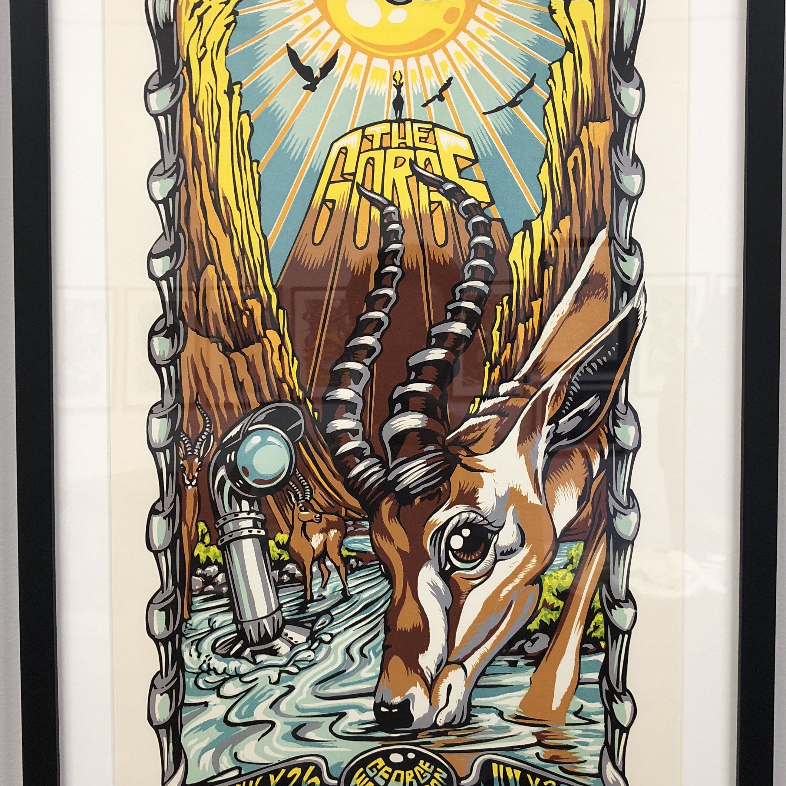 AJ Masthay "Gorge Antelope" - Framed