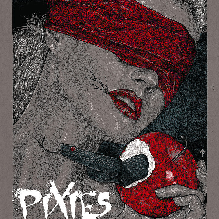 Timothy Pittides "Pixies @ The National" AP