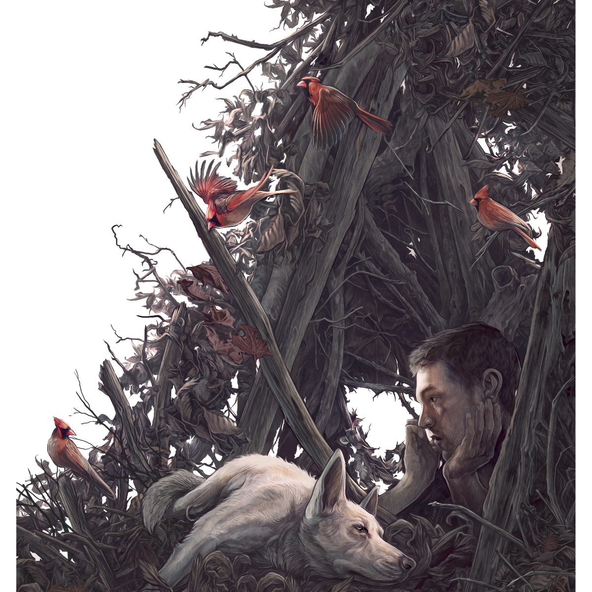 AJ Frena "Ragged Wood"