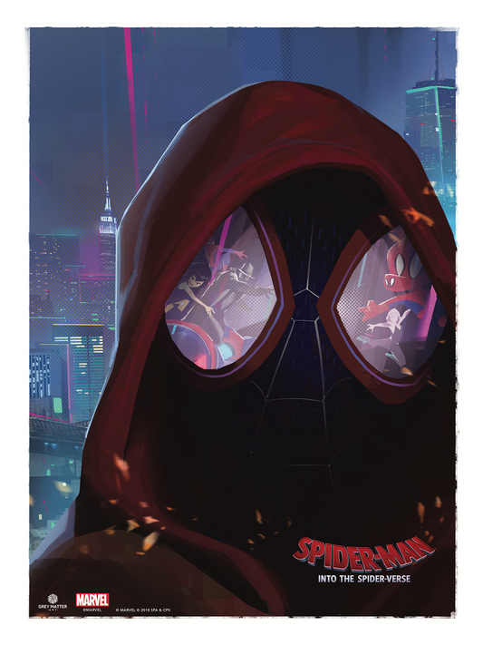 Robin Har "Spider-Man: Into the Spider-Verse - Dimensions"