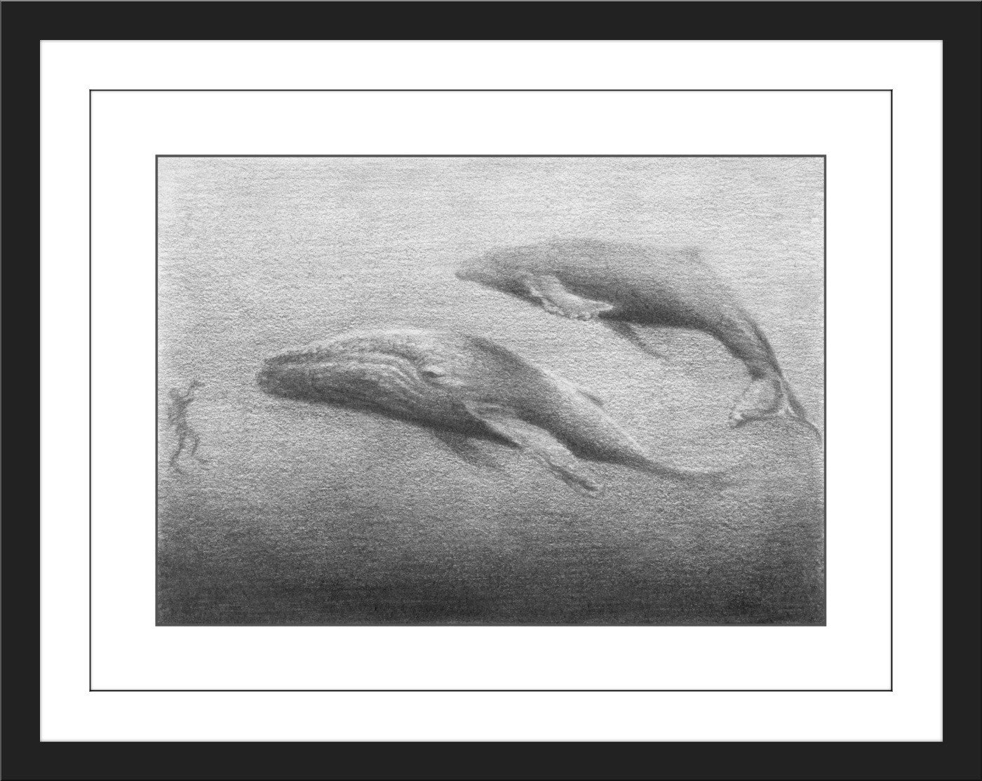 David Welker "Whales"