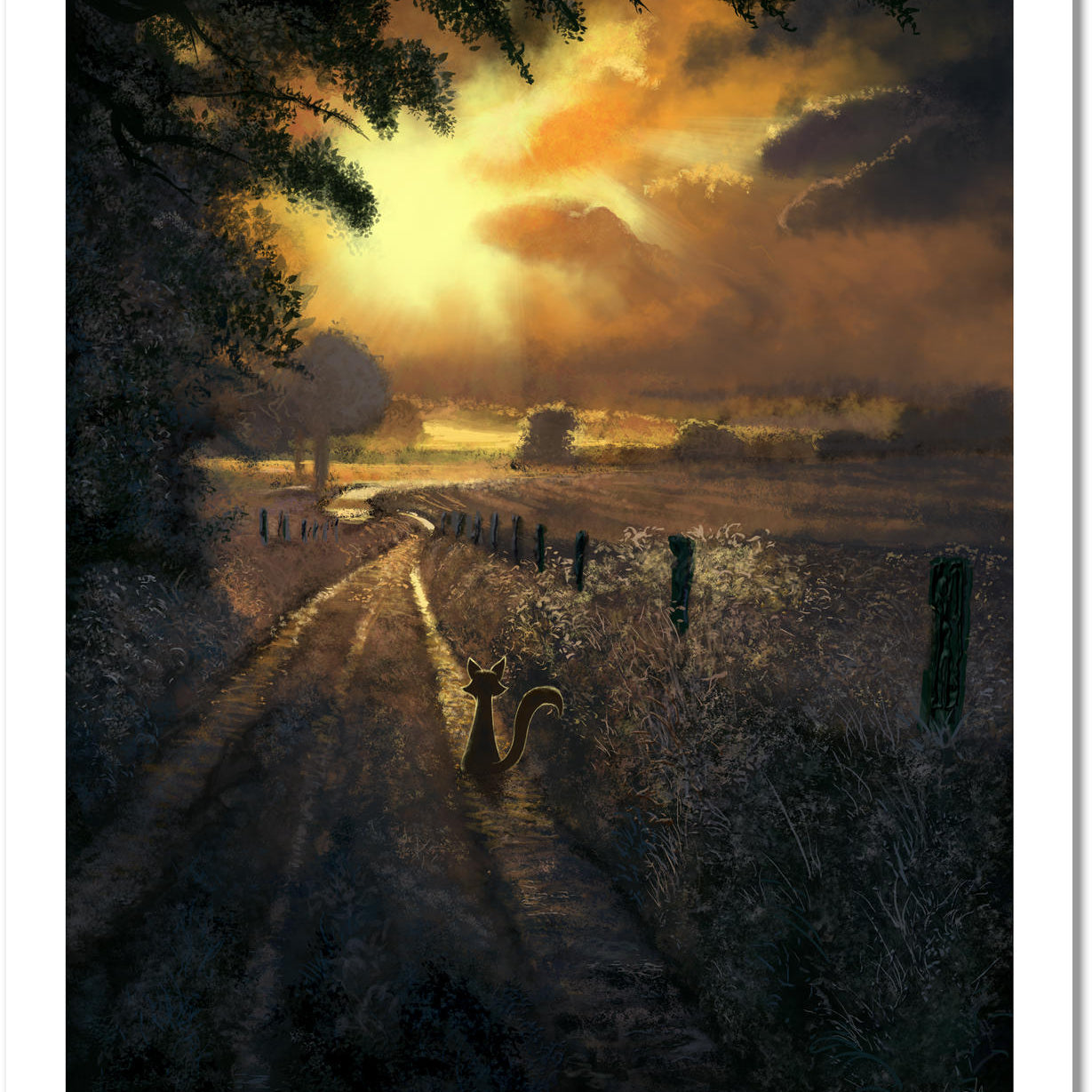 Mark Chilcott "Webster Fox Series - Part IV" SET